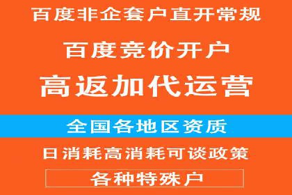行业领先企业的SEM代理案例剖析